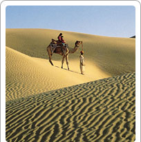 Sand Dunes Jaisalmer