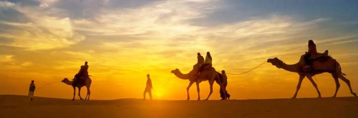 Jaisalmer Desert Camel Safari Tour (Rajasthan)