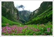Valley of Flowers & Hemkund Sahib