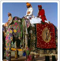 Elephant Festival Jaipur